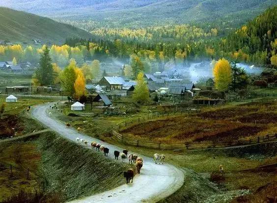 喀纳斯景区十大特产2025年排行榜前十名榜单出炉