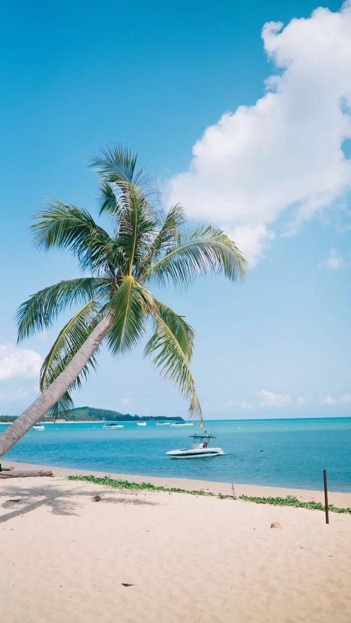 海南十大名胜古迹2025年排行榜前十名榜单出炉