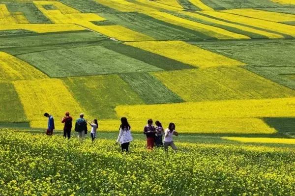 青海十大最受欢迎景点2025年排行榜前十名有哪些