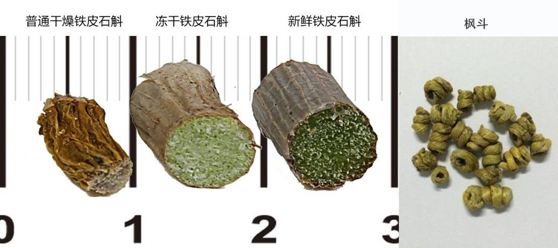 十大铁皮石斛产地2025年排行榜前十名榜单出炉