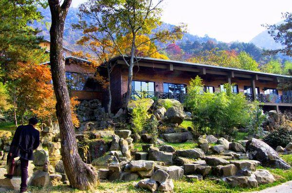 合肥十大著名度假村2025年排行榜前十名榜单出炉