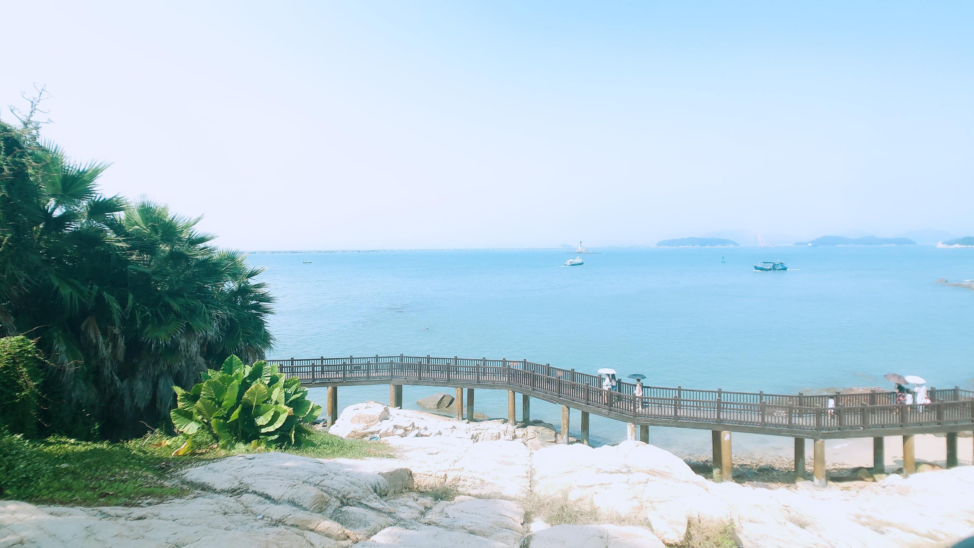 日本十大文艺片2025年排行榜前十名榜单出炉