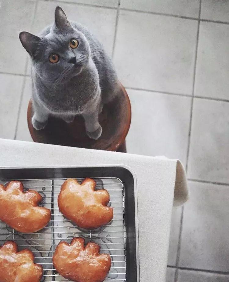 日本十大文艺片2025年排行榜前十名榜单出炉