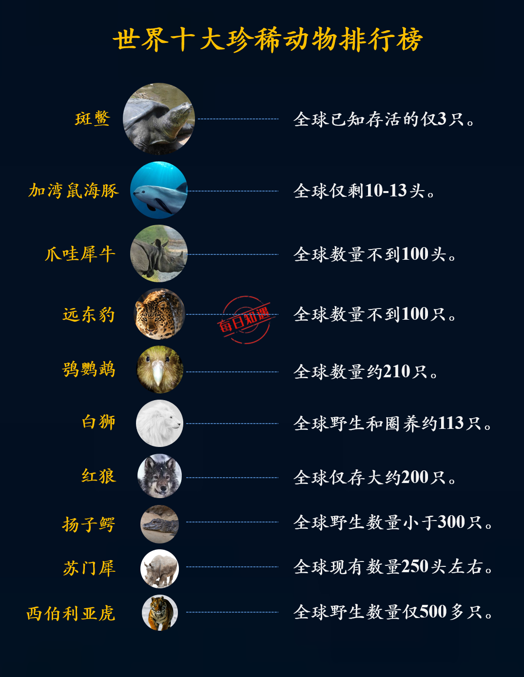 海洋十大食肉动物2025年排行榜前十名榜单出炉