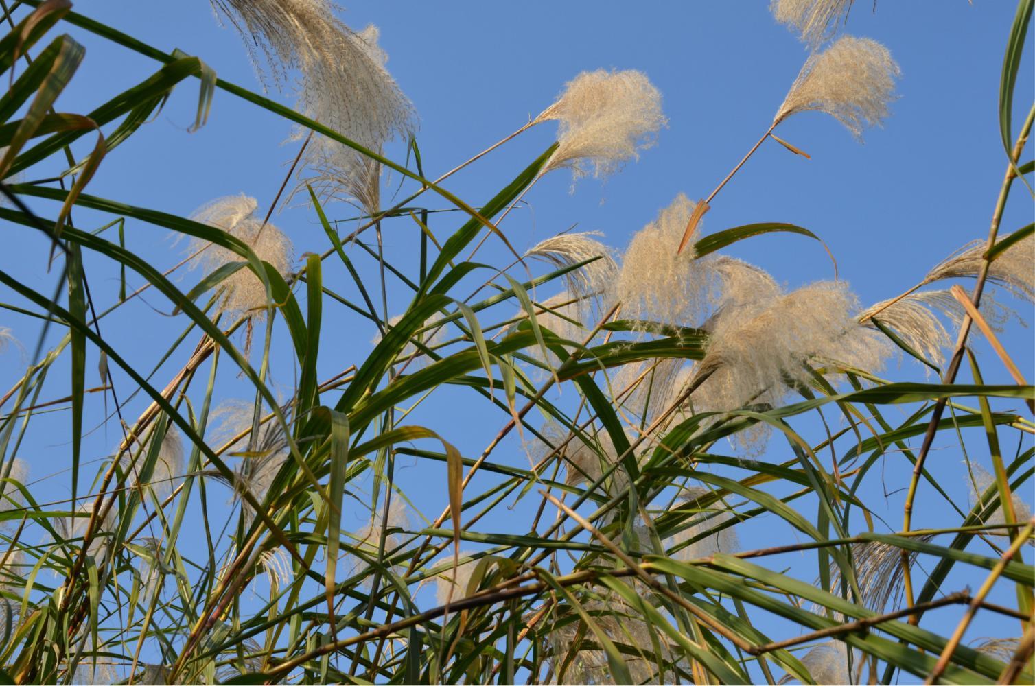 武汉十大秋季旅游好去处2025年排行榜前十名榜单出炉