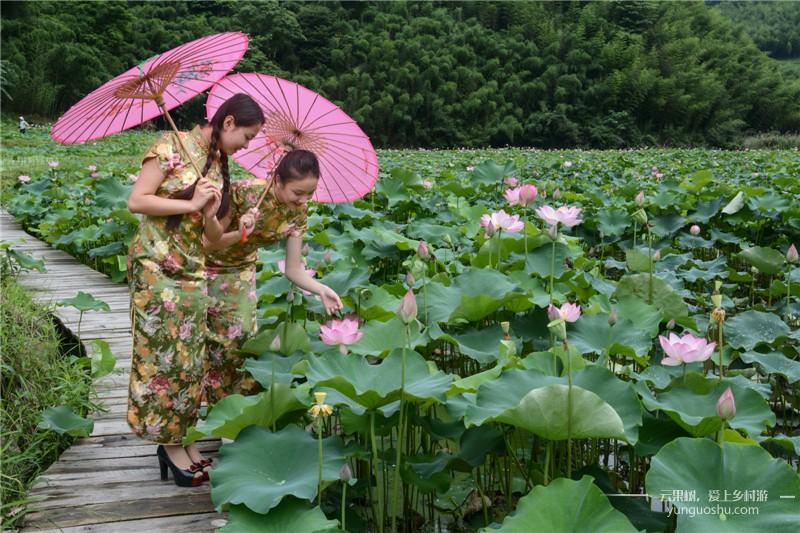 漳州十大赏荷花好去处2025年排行榜前十名榜单出炉