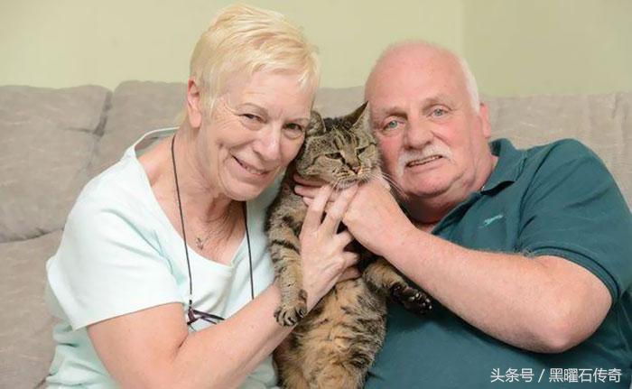 世界十大最长寿的宠物猫2025年排行榜前十名榜单出炉