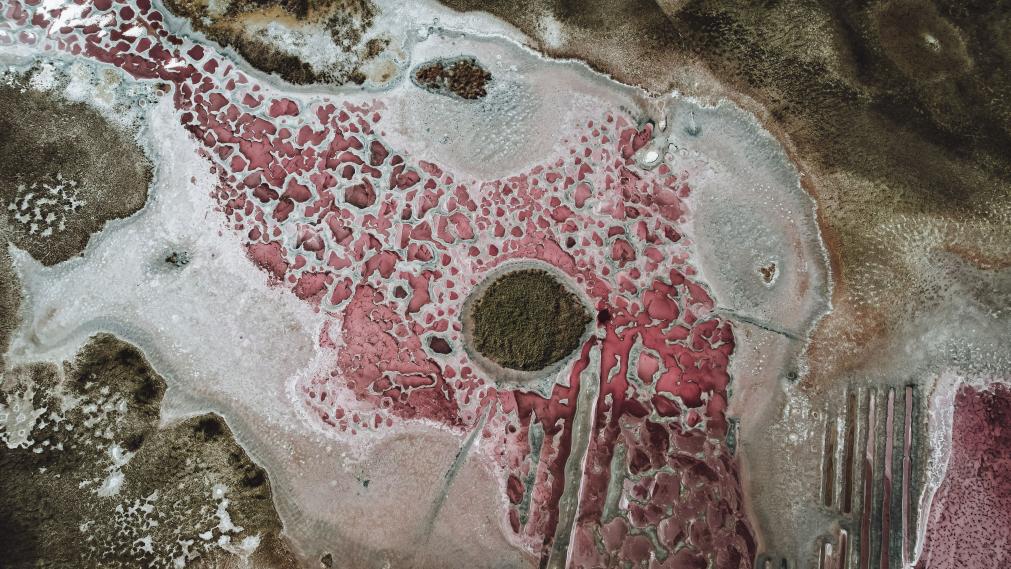 中卫十大著名景点2025年排行榜前十名榜单出炉