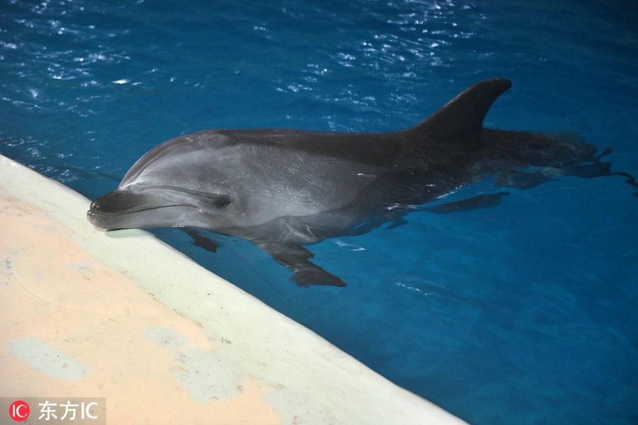 湖南十大儿科医院2025年排行榜前十名榜单出炉