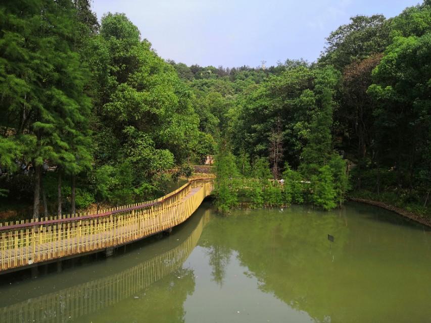 南昌十大城市公园2025年排行榜前十名榜单出炉