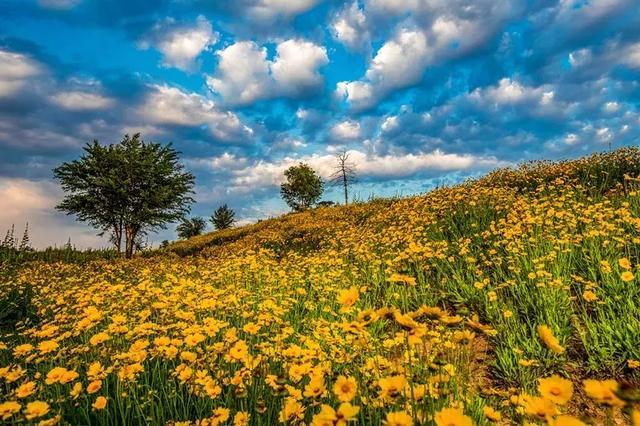 洛阳九大赏荷花好去处2025年排行榜前十名榜单出炉