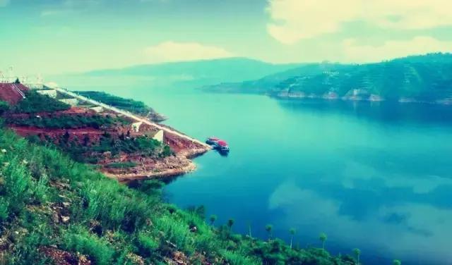 洛阳九大赏荷花好去处2025年排行榜前十名榜单出炉 洛阳九大赏荷花好去处2025年排行榜前十名榜单出炉