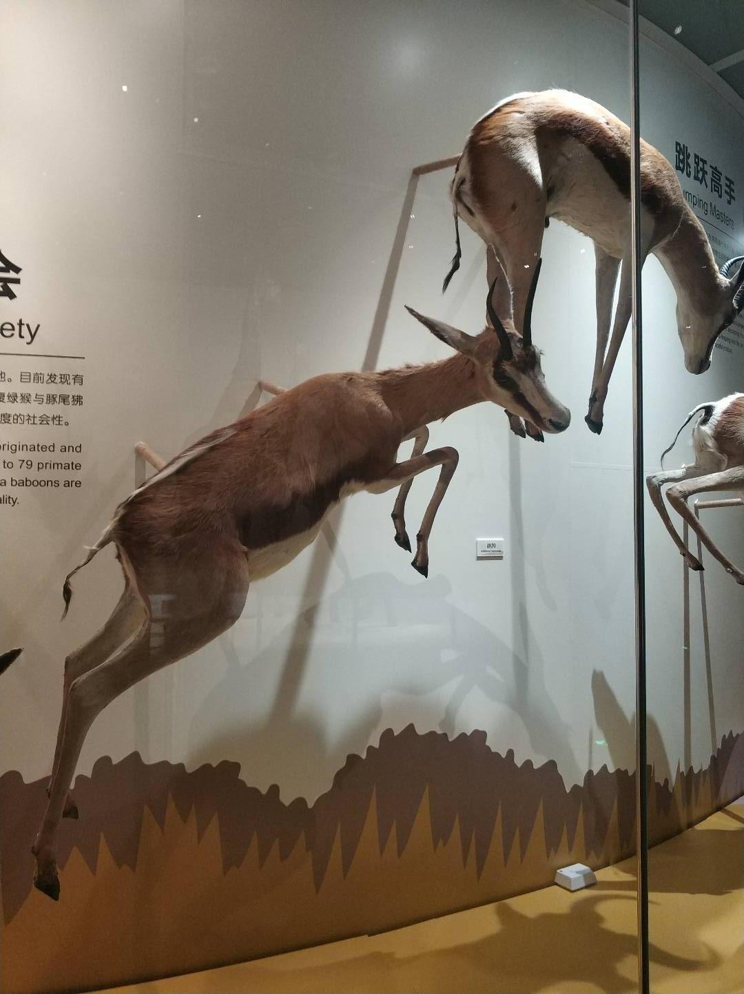 成都十大著名博物馆2025年排行榜前十名榜单出炉