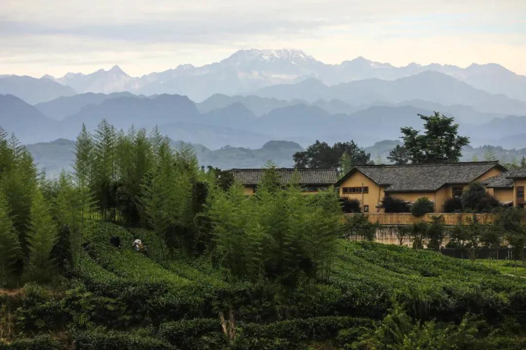 成都十大漂流景点2025年排行榜前十名榜单出炉 成都十大漂流景点2025年排行榜前十名榜单出炉