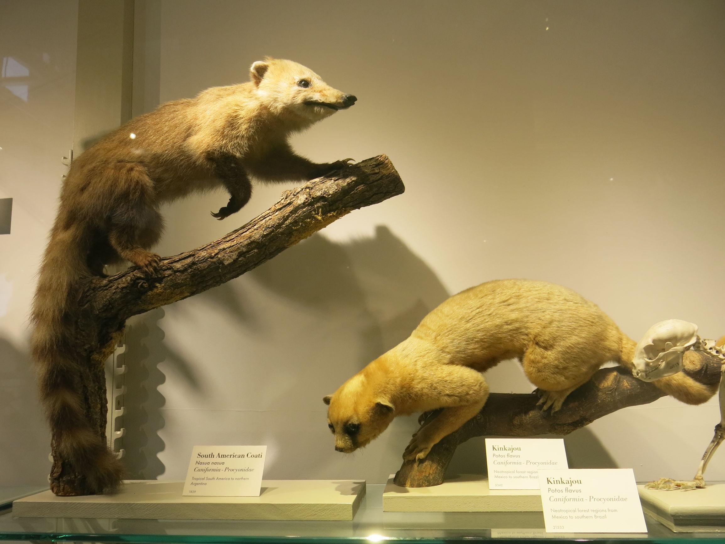 中国十大植物博物馆2025年排行榜前十名榜单出炉