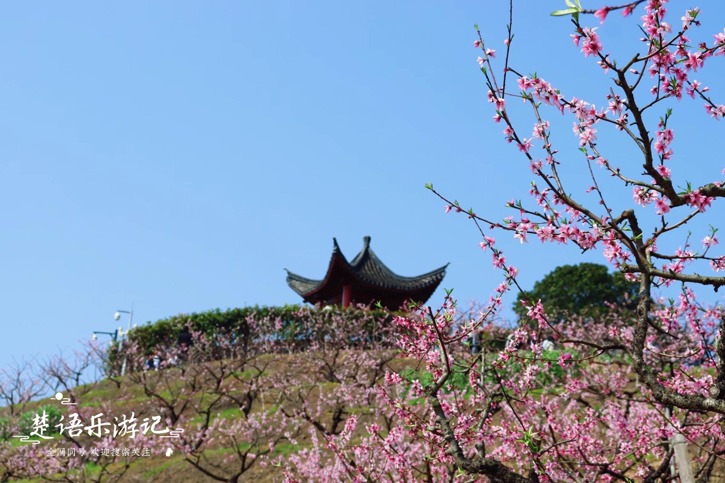 宁波十大免费景点2025年排行榜前十名榜单出炉