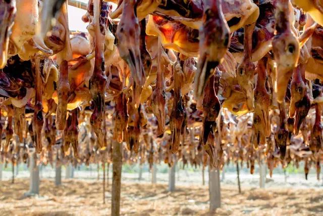 江门十大冬季旅游好去处2025年排行榜前十名榜单出炉