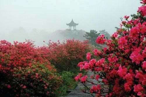 贵州十大适合春季旅游的地方2025年排行榜前十名榜单出炉