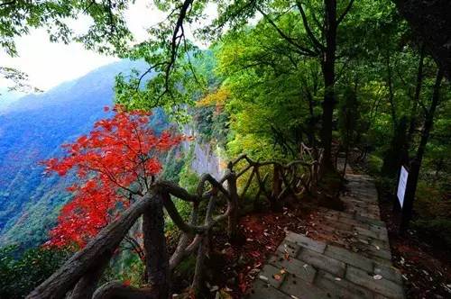 樟树十大最美景点2025年排行榜前十名榜单出炉