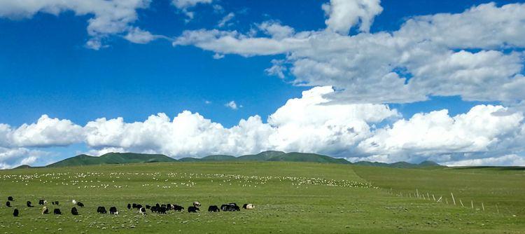 世界十大著名湖泊2025年排行榜前十名榜单出炉