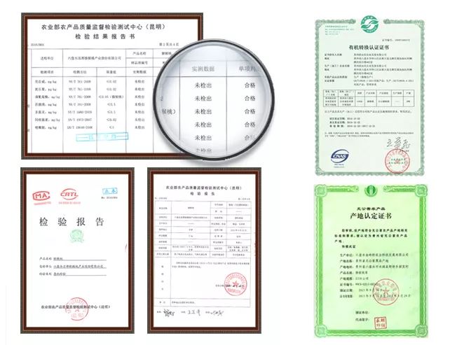 六盘水地理标志保护产品2025年排行榜前十名榜单出炉 六盘水地理标志保护产品2025年排行榜前十名榜单出炉