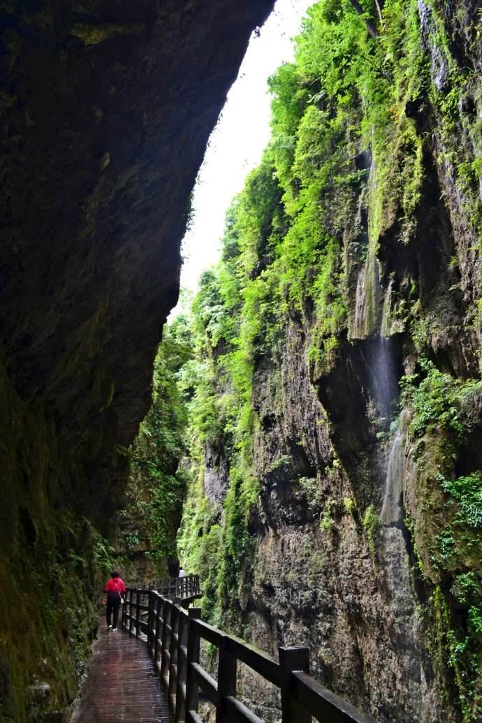 湖北最适合学生旅游的景点2025年排行榜前十名榜单出炉