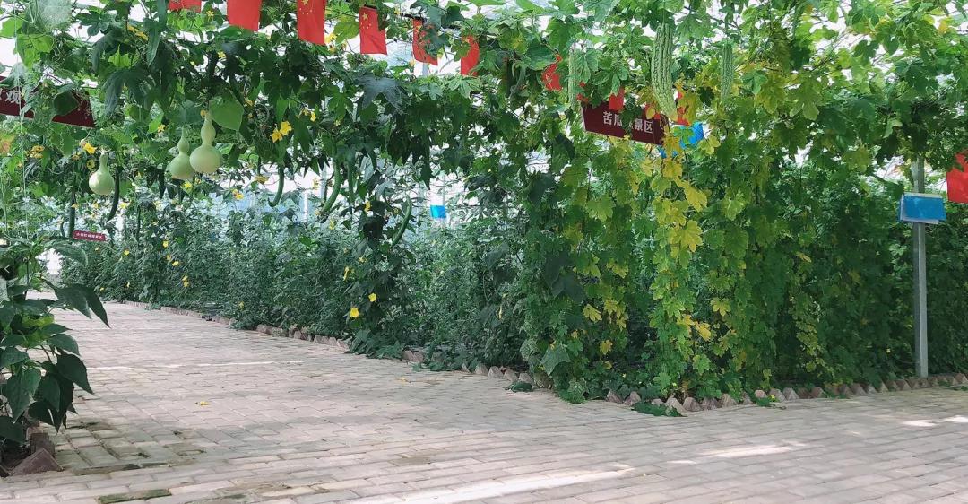 中国十大乡村游景点2025年排行榜前十名榜单出炉