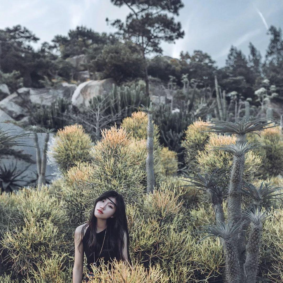 厦门十大适合拍照的地方2025年排行榜前十名榜单出炉