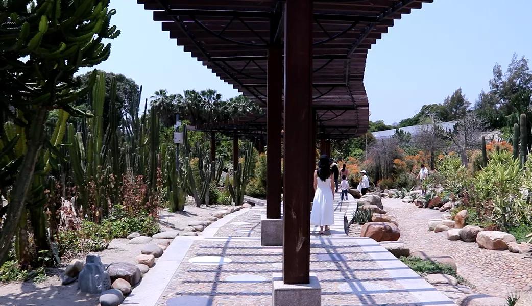 厦门十大适合拍照的地方2025年排行榜前十名榜单出炉 厦门十大适合拍照的地方2025年排行榜前十名榜单出炉