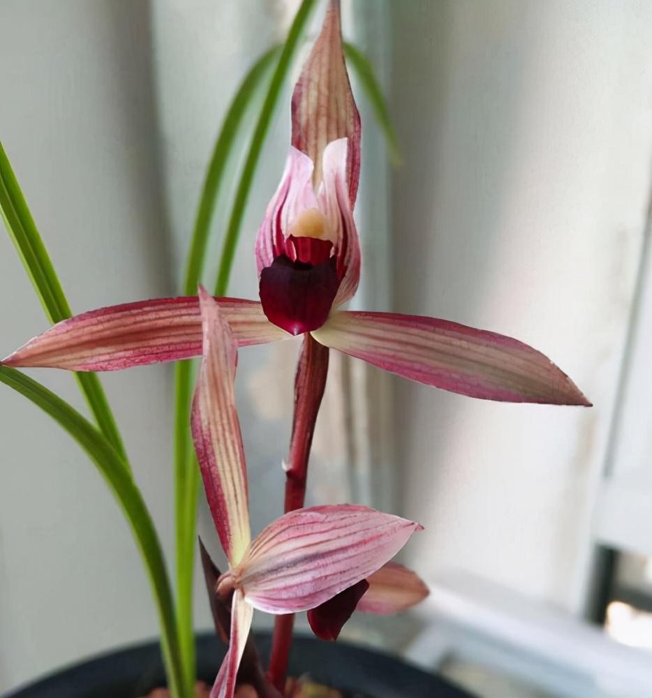 云南十大城市名片2025年排行榜前十名榜单出炉