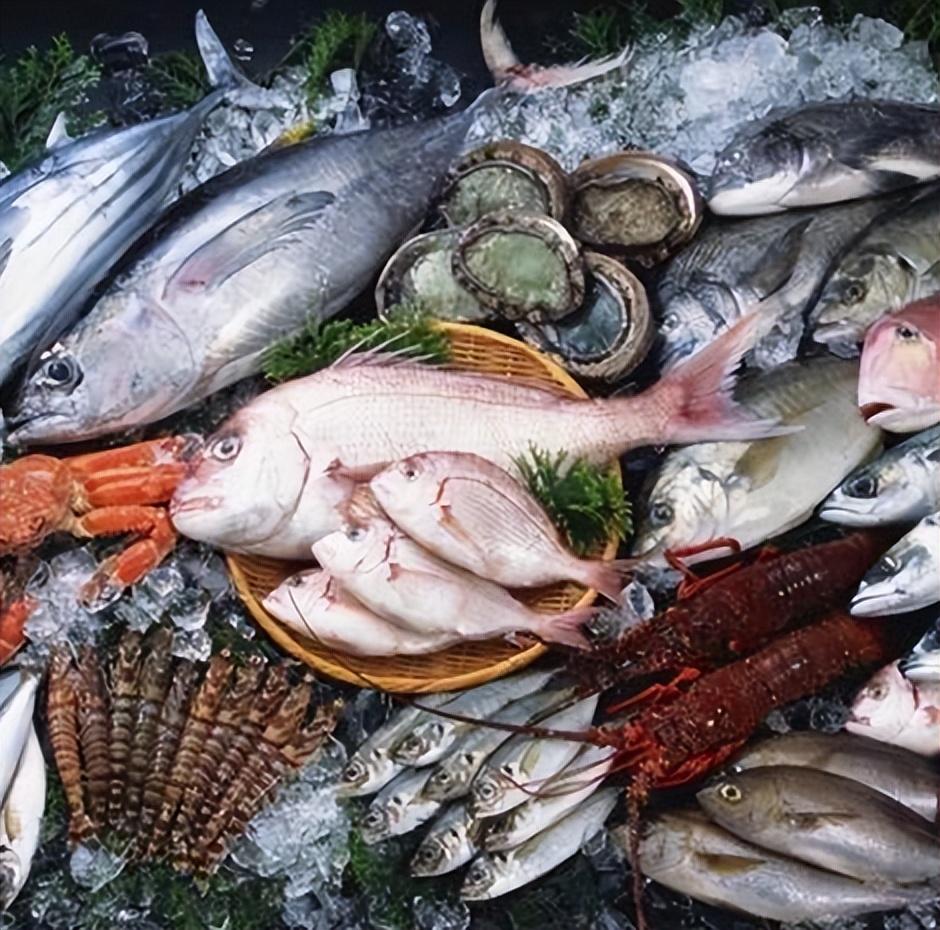 中国十大水产批发市场2025年排行榜前十名榜单出炉 中国十大水产批发市场2025年排行榜前十名榜单出炉