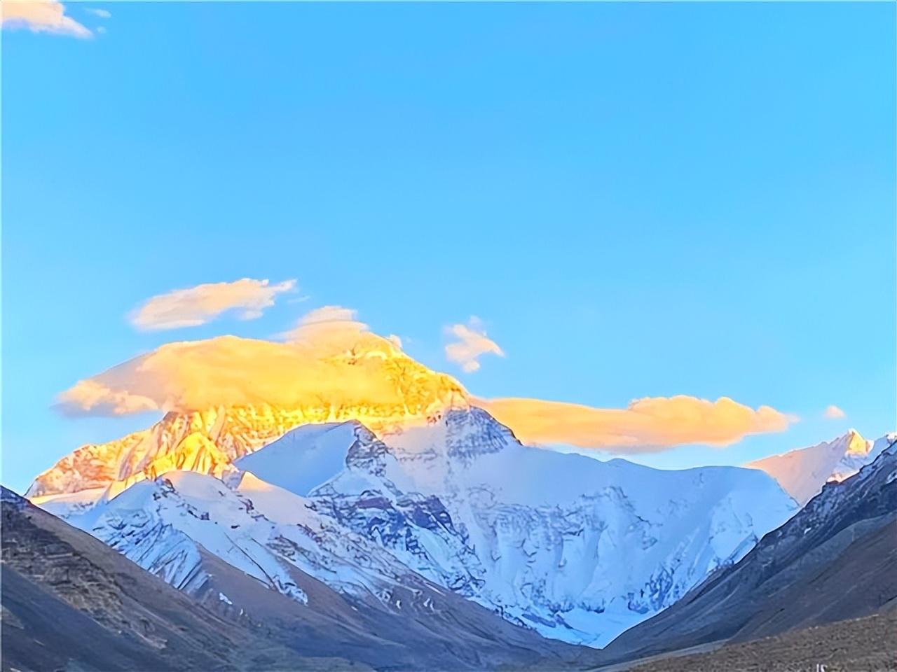 上海市金山区十大著名旅游景点2025年排行榜前十名榜单出炉 上海市金山区十大著名旅游景点2025年排行榜前十名榜单出炉