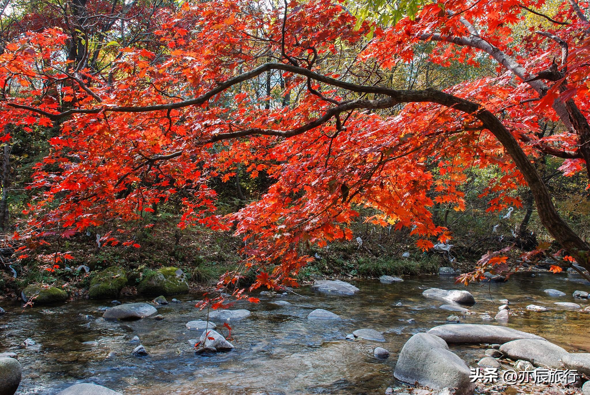 吉林市蛟河市十大著名旅游景点2025年排行榜前十名榜单出炉