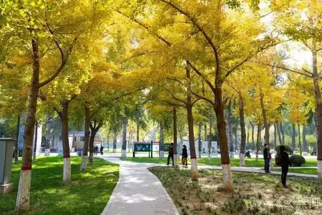 石家庄最适合看雪的地方2025年排行榜前十名榜单出炉 石家庄最适合看雪的地方2025年排行榜前十名榜单出炉