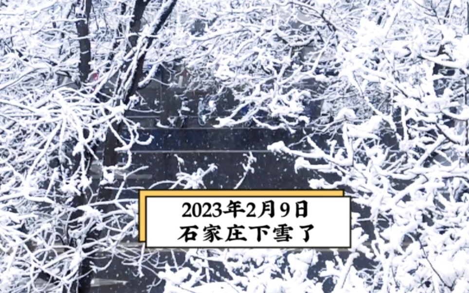 石家庄最适合看雪的地方2025年排行榜前十名榜单出炉 石家庄最适合看雪的地方2025年排行榜前十名榜单出炉