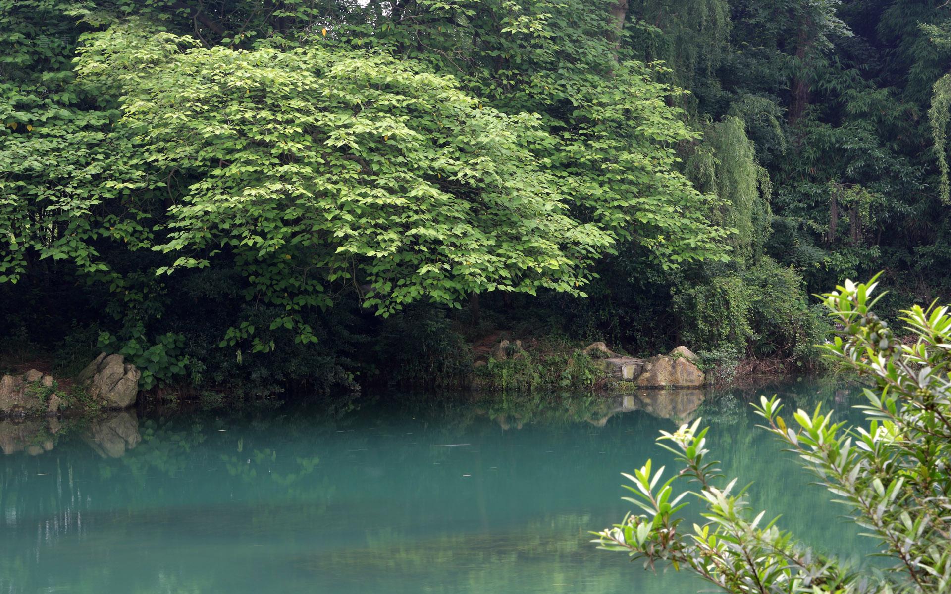 贵阳6月十大旅游景点2025年排行榜前十名榜单出炉