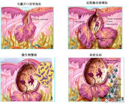 深圳十大皮肤科医院2025年排行榜前十名榜单出炉 深圳十大皮肤科医院2025年排行榜前十名榜单出炉