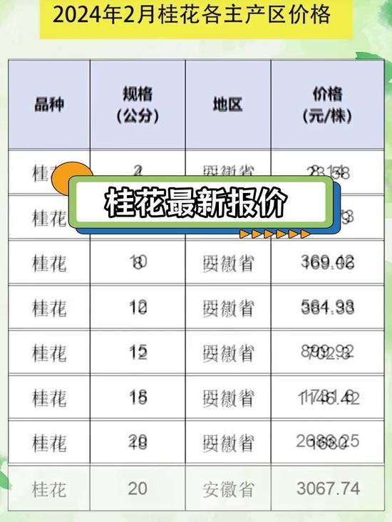 桂花十大品种2025年排行榜前十名榜单出炉 桂花十大品种2025年排行榜前十名榜单出炉