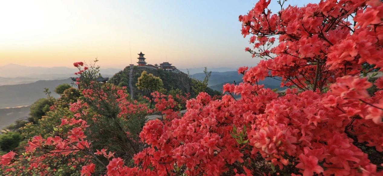 安徽五一十大热门旅游景点2025年排行榜前十名榜单出炉