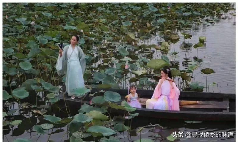 江门十大夏季旅游好去处2025年排行榜前十名榜单出炉 江门十大夏季旅游好去处2025年排行榜前十名榜单出炉