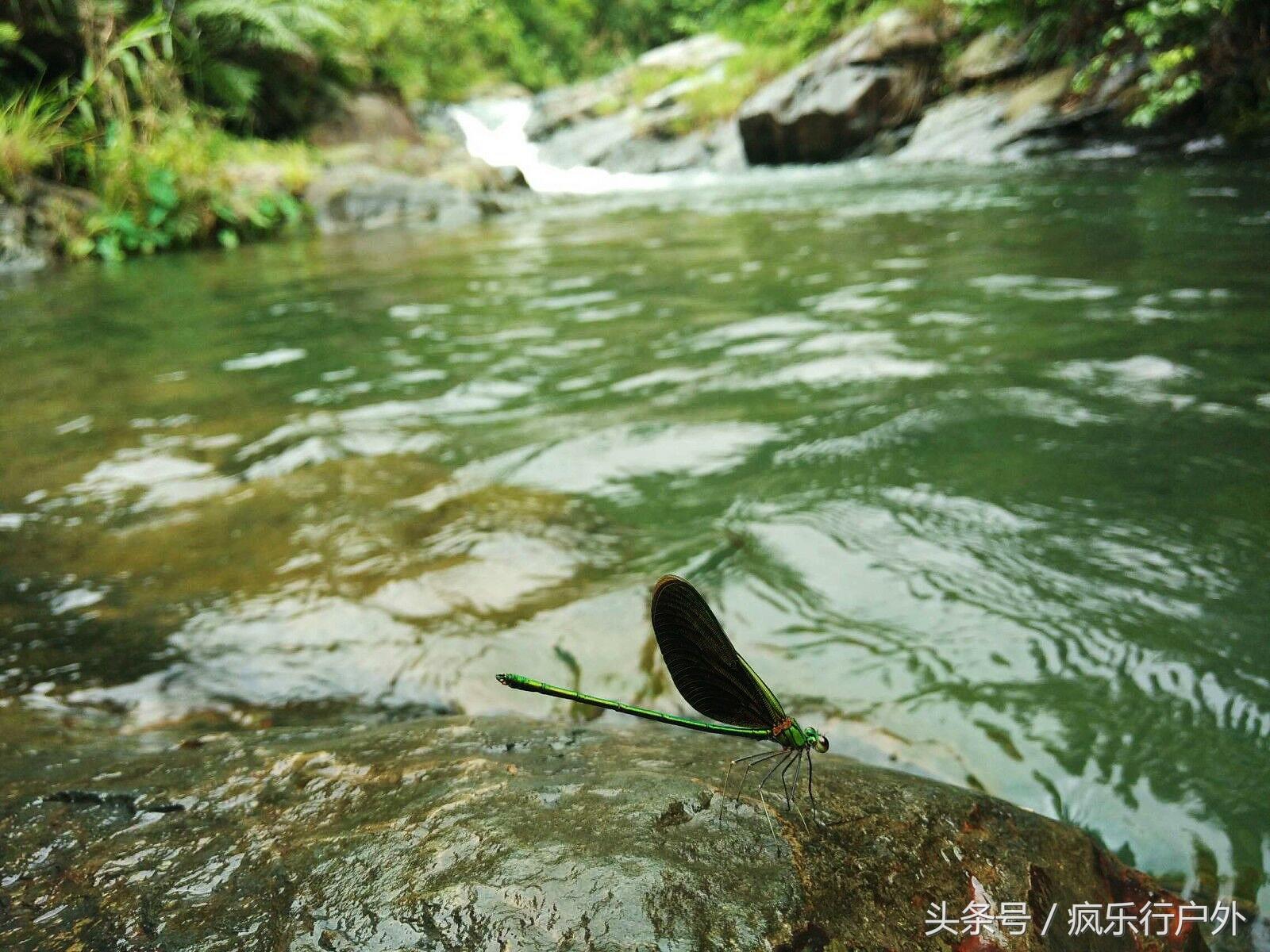 江门十大夏季旅游好去处2025年排行榜前十名榜单出炉