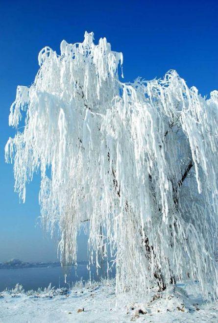 十首关于雪的经典古诗词2025年排行榜前十名榜单出炉 十首关于雪的经典古诗词2025年排行榜前十名榜单出炉