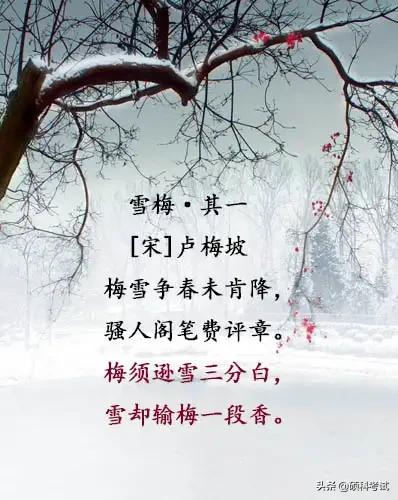 十首关于雪的经典古诗词2025年排行榜前十名榜单出炉