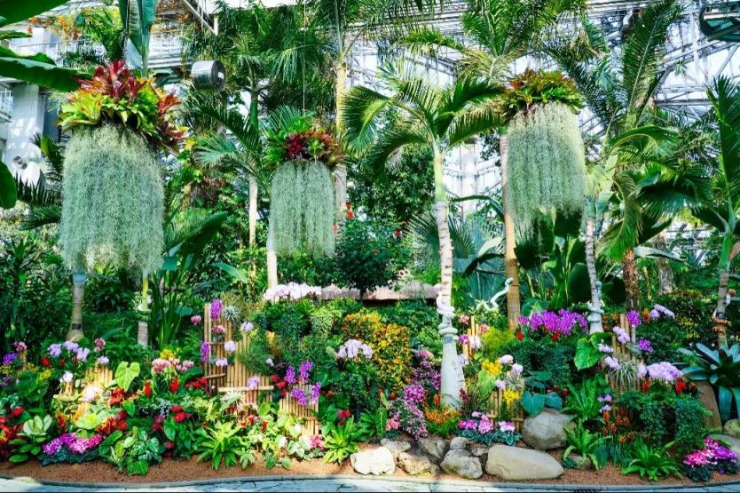 2021年值得去看的园艺展2025年排行榜前十名榜单出炉 2021年值得去看的园艺展2025年排行榜前十名榜单出炉