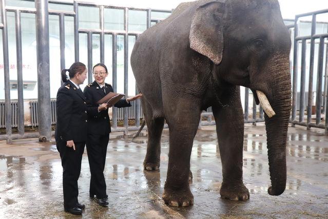 新疆十大元旦旅游好去处2025年排行榜前十名榜单出炉
