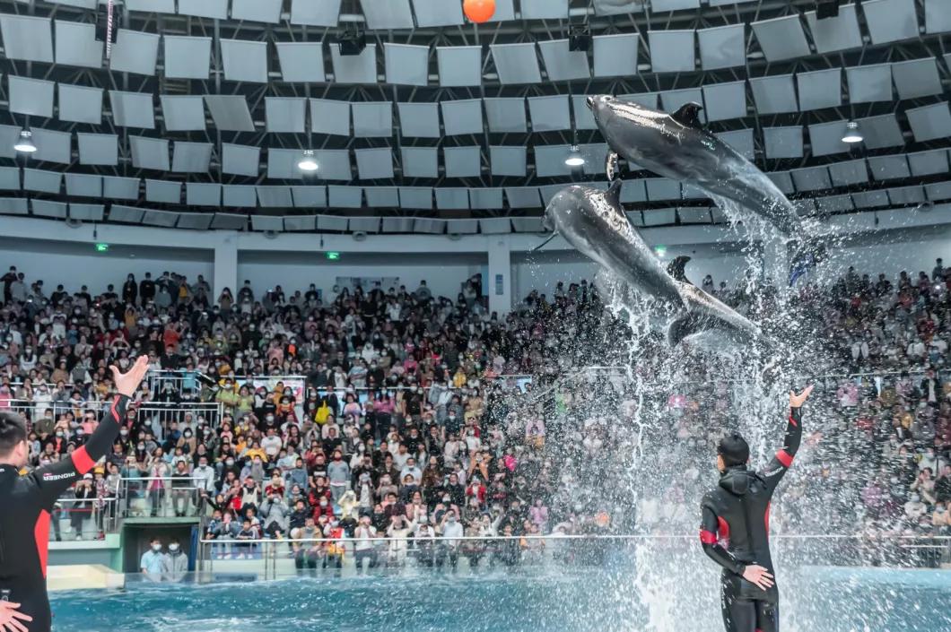 长沙十大中秋旅游景点2025年排行榜前十名榜单出炉