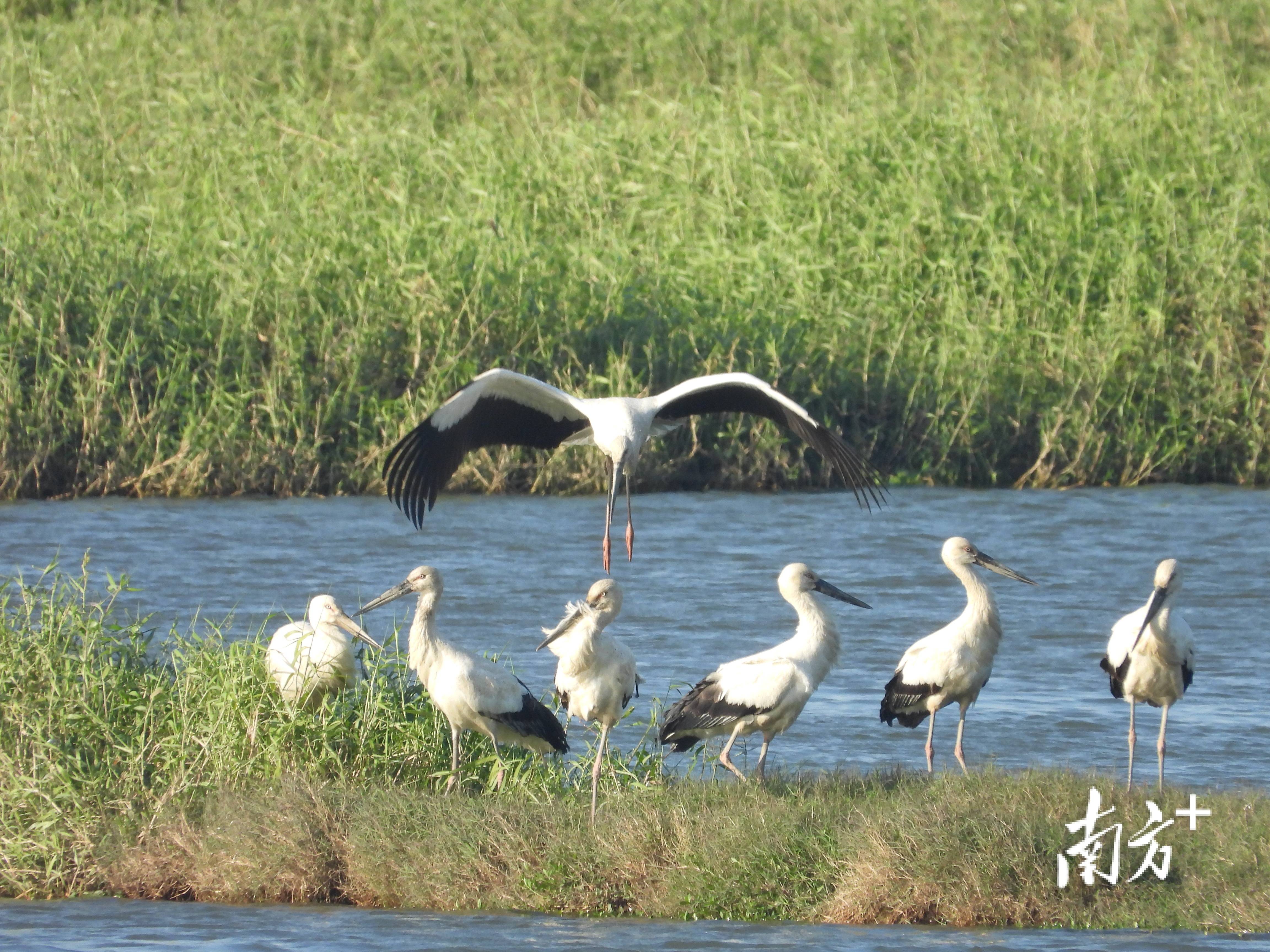 十大最具潜力的湿地公园2025年排行榜前十名榜单出炉
