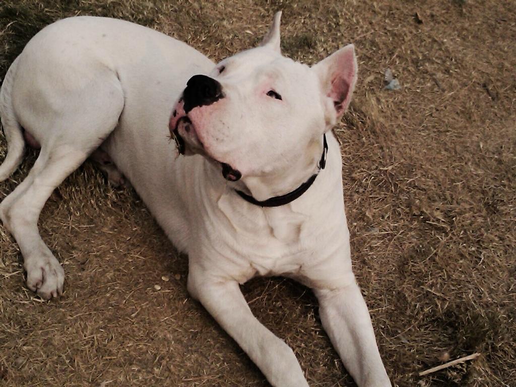 中国十大西班牙语培训机构2025年排行榜前十名榜单出炉