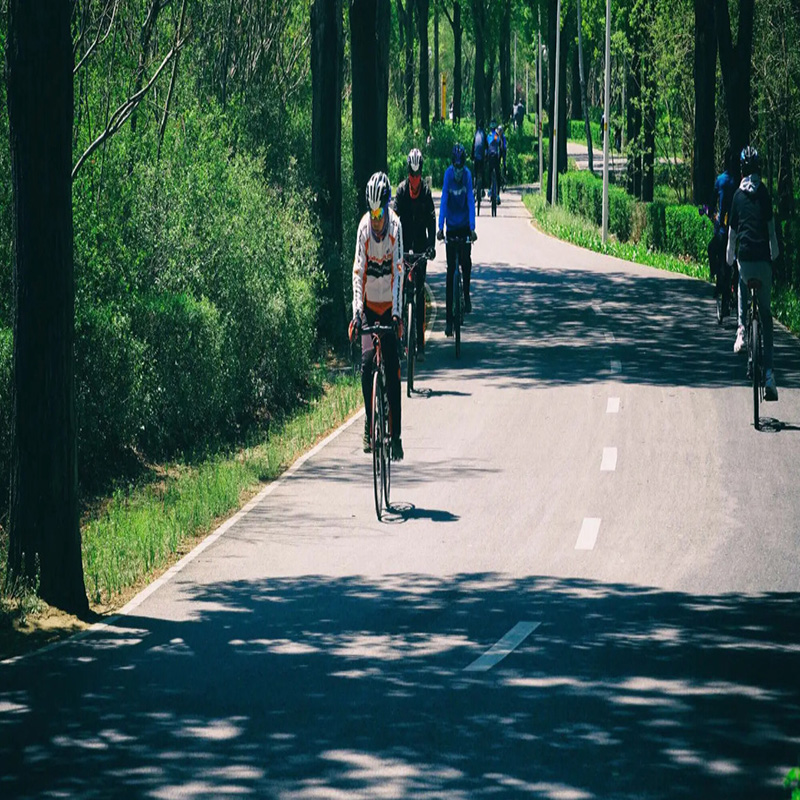 中国十大最适合骑行的公园2025年排行榜前十名榜单出炉