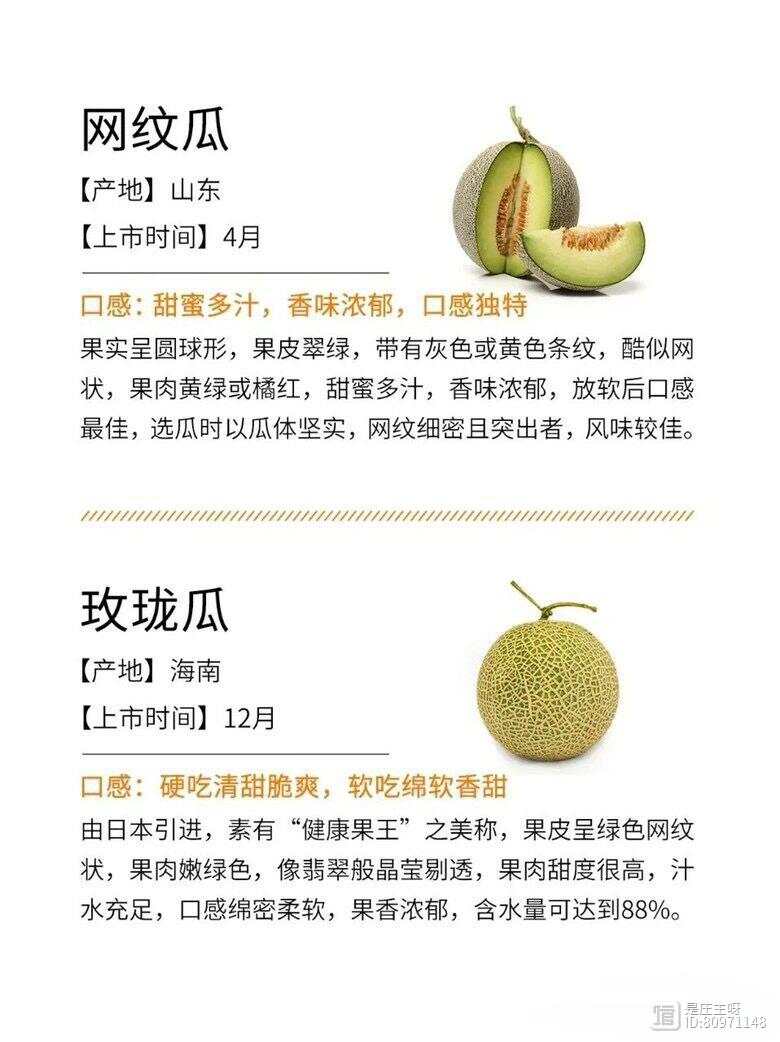 香瓜十大品种2025年排行榜前十名榜单出炉 香瓜十大品种2025年排行榜前十名榜单出炉